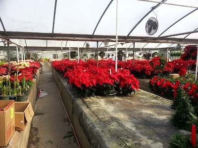 Smits Greenhouses