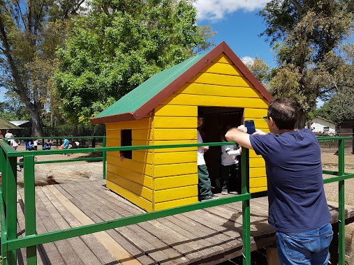 Granja La Aurora, Author: Nicolás Sosa Del sole