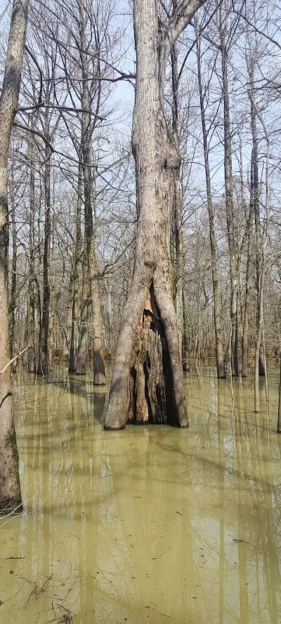 Sky Lake Boardwalk