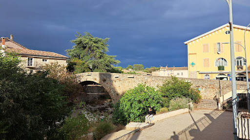 Trans en Provence - Thumbnail