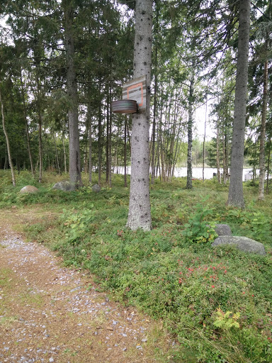 Timbäcken - Visual