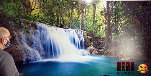 Fotomurales DS - Thumbnail