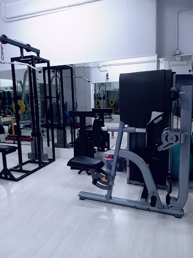 Studio personal IRON muscle - Italy