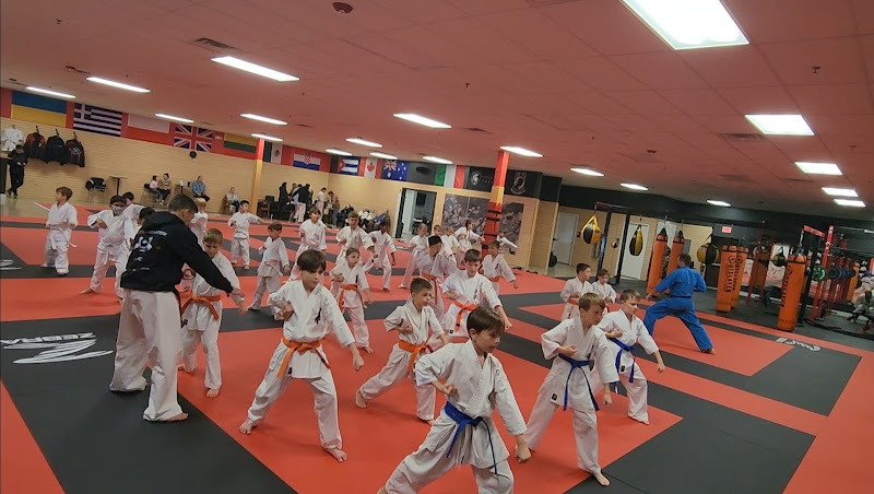 Ballistic Budo Club - muay thai in Buffalo Grove, Illinois