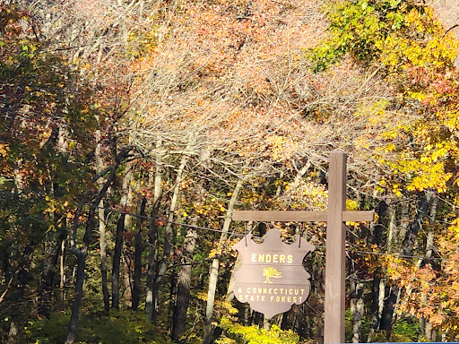 Enders State Forest - Thumbnail