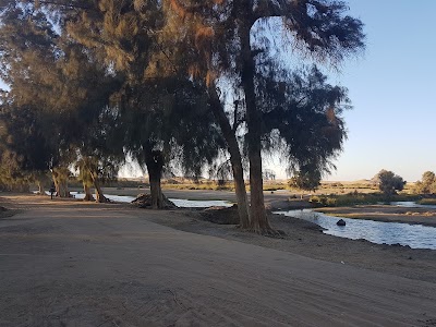 Photos of بركة دهشور - Berket Dahshour