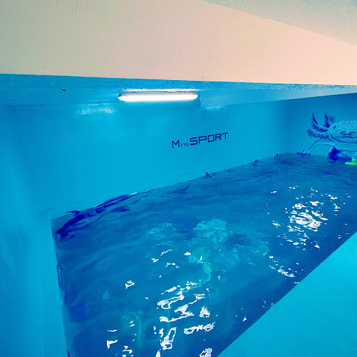 Mnssportgym