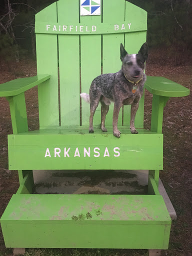 Greers Ferry Veterinary Clinic - Thumbnail
