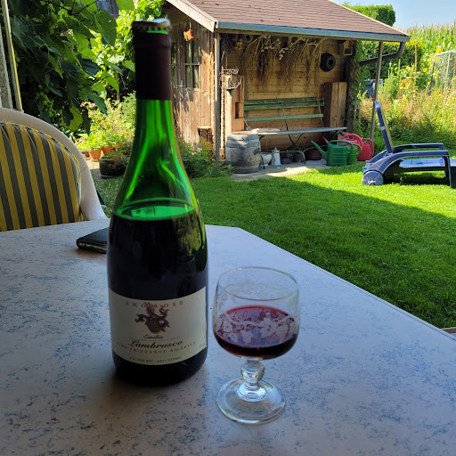 SA Vini Bée - Visual