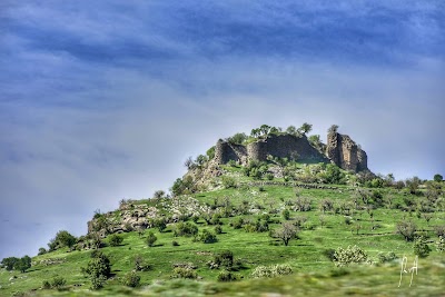 ŞİRVAN İLÇE TARIM VE ORMAN MÜDÜRLÜĞÜ