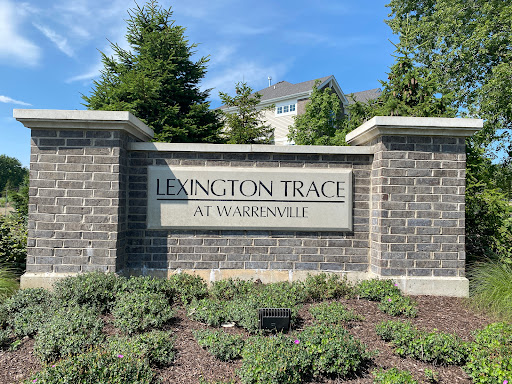 Lexington Trace - Visual