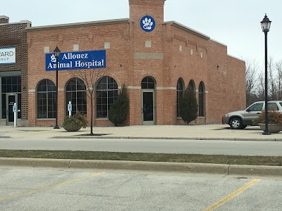 Allouez Animal Hospital: Rechsteiner Nell DVM