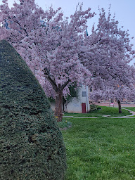Photo n°33 de La Casa di Fécamp plage - Gîte à Fécamp (Gîte)