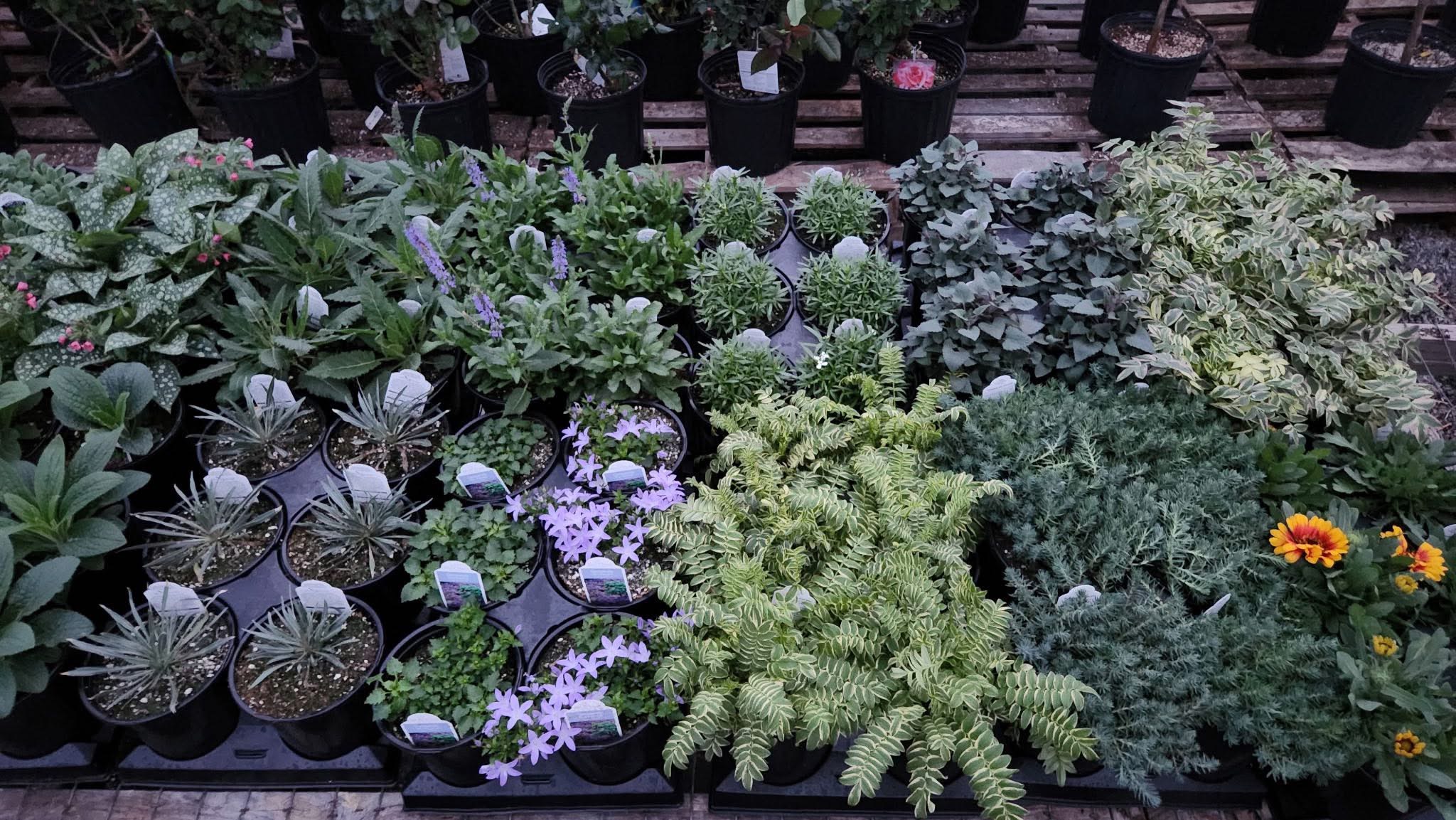 Bud’s Greenhouse