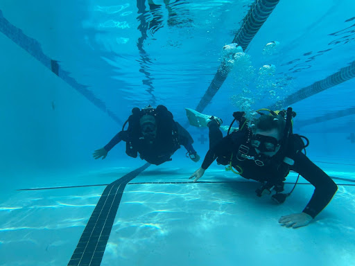 SOS Diving - Visual