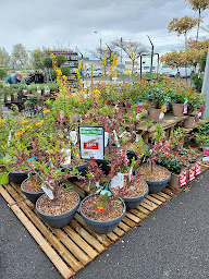 Photo n°22 de GAMM VERT à Cournon-d'Auvergne (Pépinière)