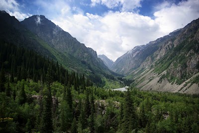 Photos of Tarasika