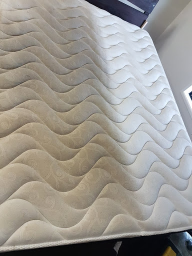 Elite Carpet Cleaning and Pest Control Mackay - Thumbnail