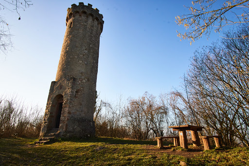 Hirschkopfturm Logo