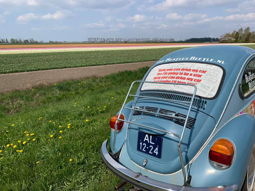 Beatlesbeetle.nl Gallery - Netherlands