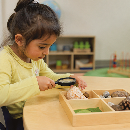 At Junior Hive Pre School Dwarka, we believe real learning happens when little hands are busy exp… post image