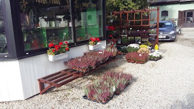 Photos of Valge Roos
