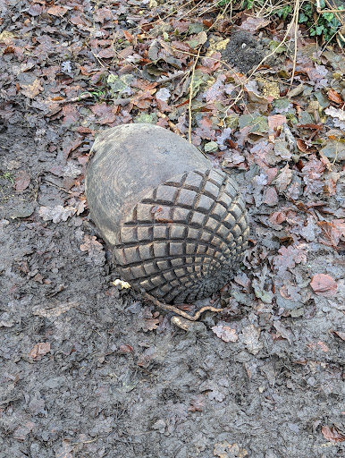 Acorn sculpture - Thumbnail
