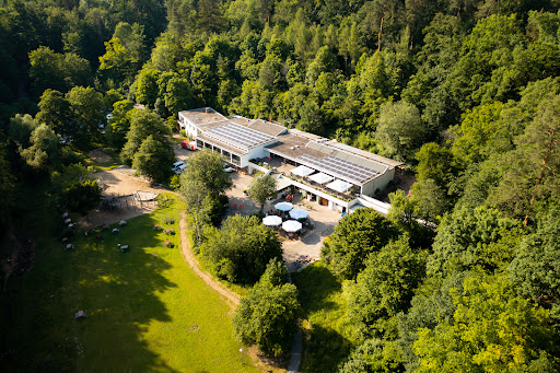 site_photo1