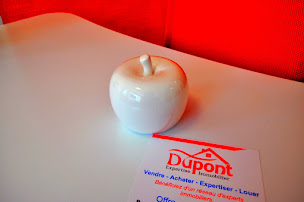 Photo n°21 de DUPONT EXPERTISE IMMOBILIER CAMBRAI à Cambrai (Agence immobilière)