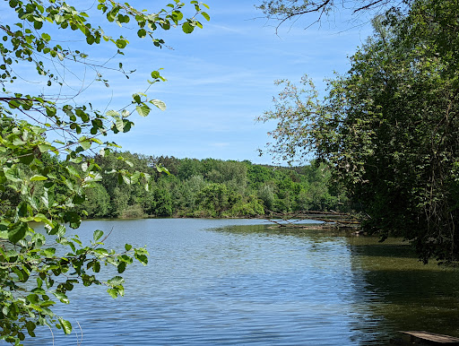 Fröschauweiher - Visual