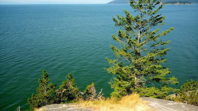 Lighthouse Park