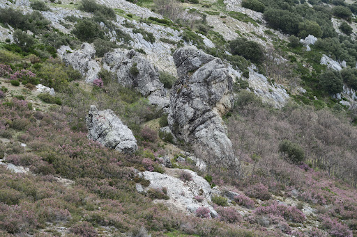 Cuetolasno Gallery - Spain