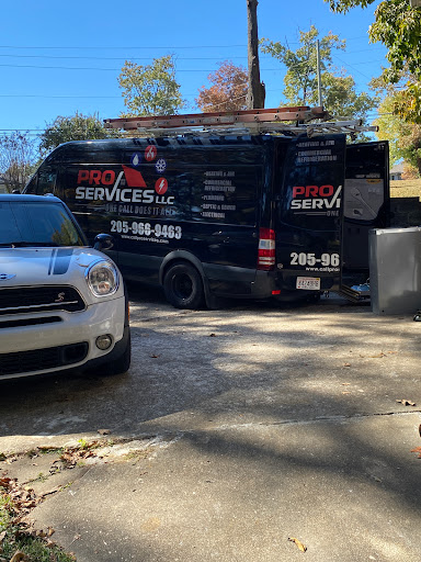 Pro Services LLC - Visual