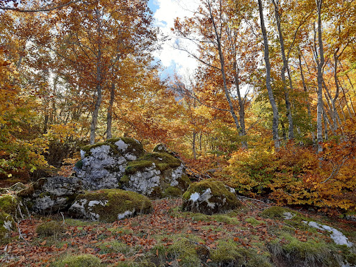 Pico Bodón - Visual