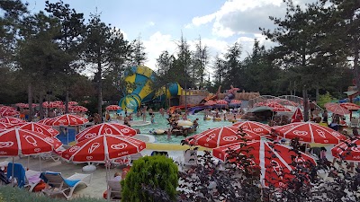 Photos of Aquamania