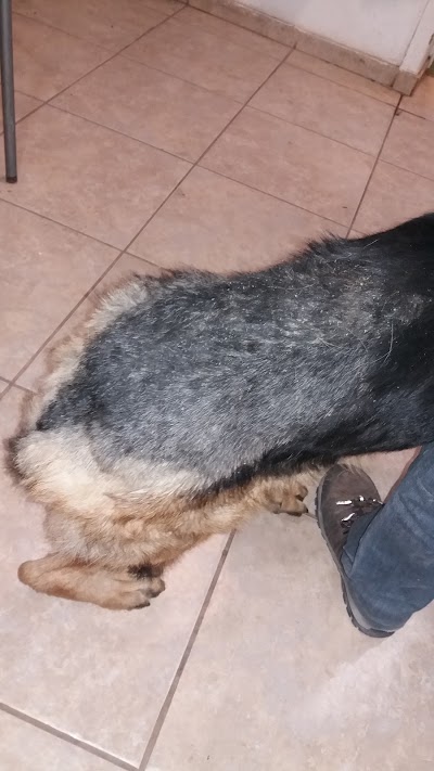 Photos of Centro Veterinario Buin