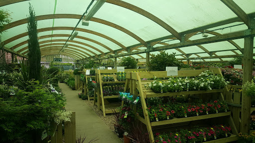 Ross Garden Store - Thumbnail