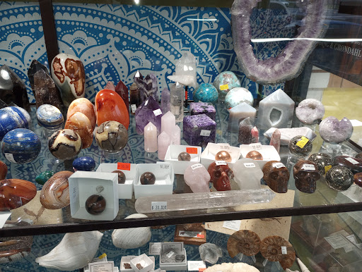 Ack's Exotic Pets - Thumbnail
