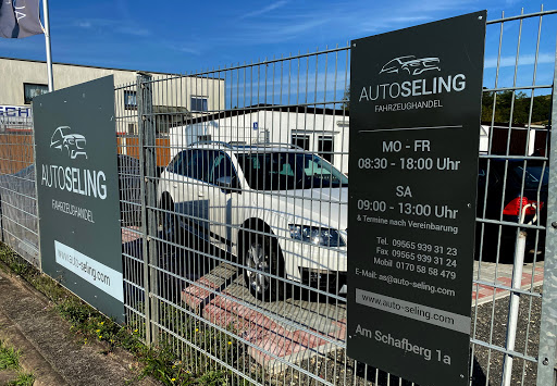 Auto Seling - Visual
