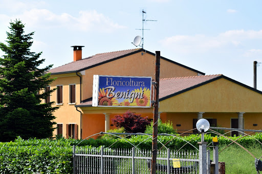 Floricoltura Benigni