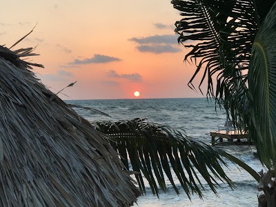 Photos of Coral Cove Inn