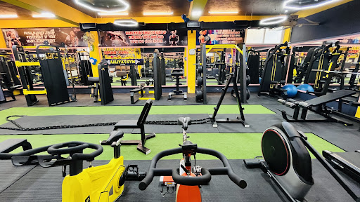AALIYA SPORTS & FITNESS GYM CLUB 24/7