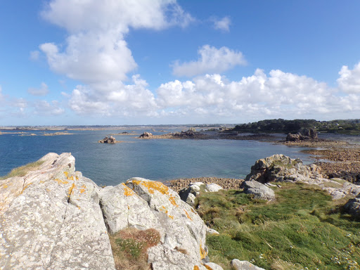 Castle Point - Thumbnail