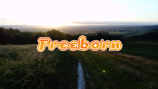 Freeborn - Visual