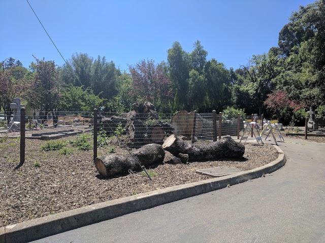 Dublin Heritage Park & Museums