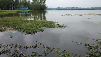 Photos of Dhangor Resort