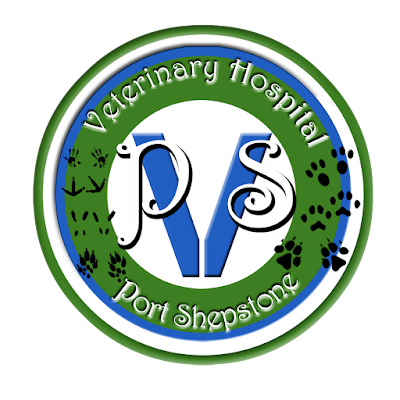 Photos of Vet Hospital Port Shepstone (animal hospital & consulting rooms)