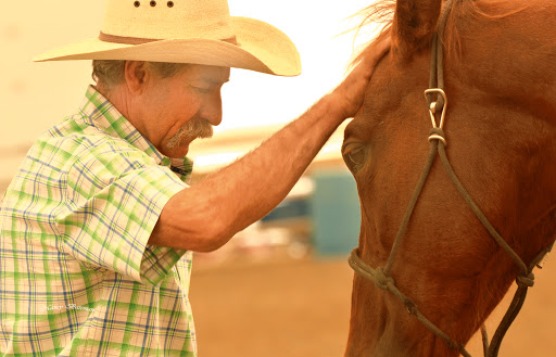 Diamond Stables And Arena