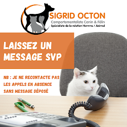 Photo n°3 de Comportementaliste Éducatrice chat et chien - Sigrid Octon à Thomery (Dresseur d'animaux de compagnie)