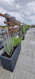 Photo n°13 de Jardin Urbain Concept à Bègles (Paysagiste)